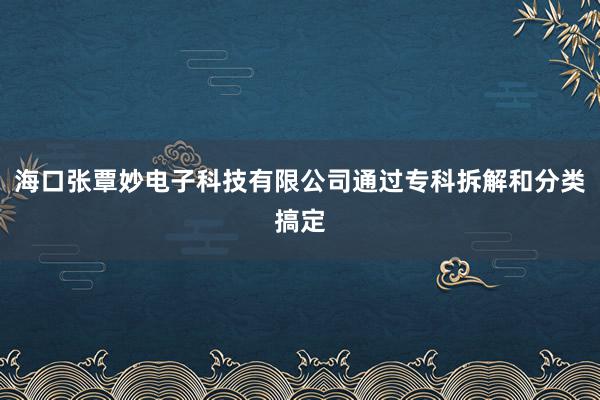 海口张覃妙电子科技有限公司通过专科拆解和分类搞定
