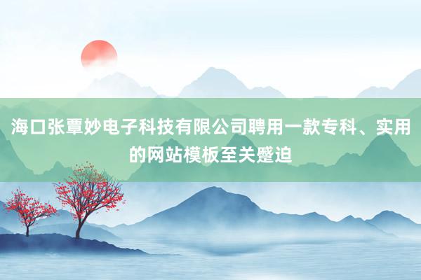 海口张覃妙电子科技有限公司聘用一款专科、实用的网站模板至关蹙迫