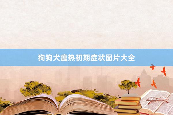 狗狗犬瘟热初期症状图片大全